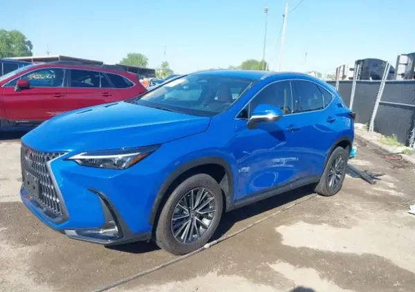 samochody osobowe Lexus NX cena 139900 przebieg: 2378, rok produkcji 2023 z Złotoryja